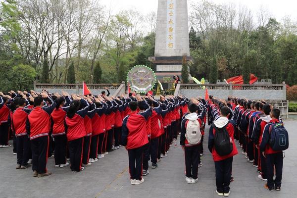 红眼虎皮鹦鹉怎么分公母？游戏画面